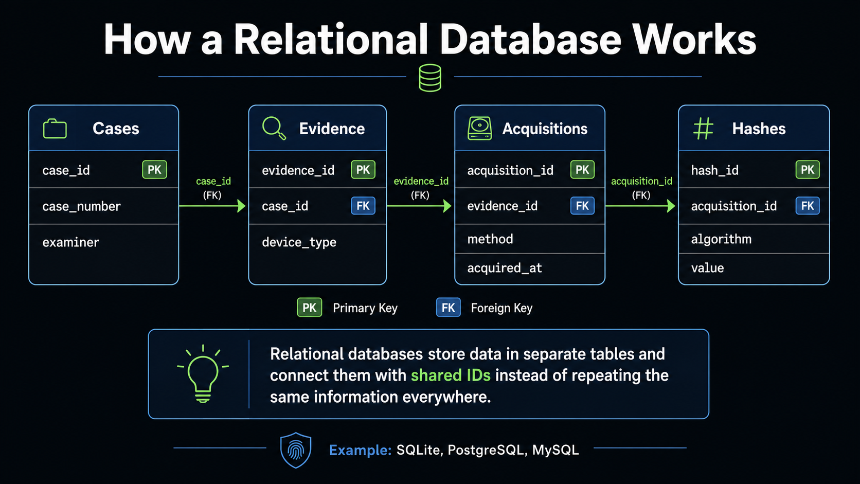 Diagram showing how a relational database works using connected tables for Cases, Evidence, Acquisitions, and Hashes.